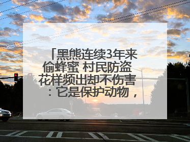 黑熊连续3年来偷蜂蜜 村民防盗花样频出却不伤害：它是保护动物，我有保险兜底