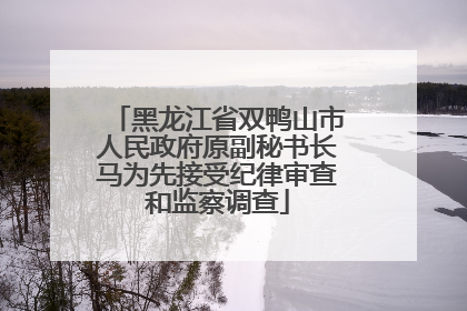 黑龙江省双鸭山市人民政府原副秘书长马为先接受纪律审查和监察调查