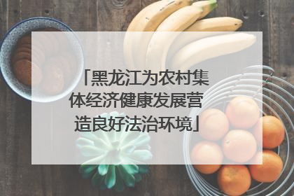 黑龙江为农村集体经济健康发展营造良好法治环境