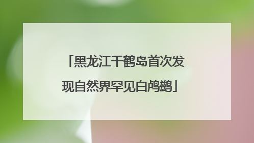 黑龙江千鹤岛首次发现自然界罕见白鸬鹚