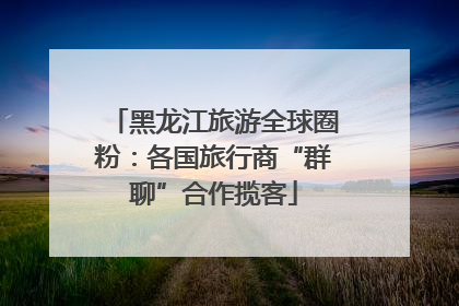 黑龙江旅游全球圈粉：各国旅行商“群聊”合作揽客