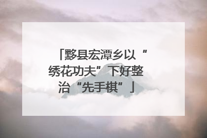 黟县宏潭乡以“绣花功夫”下好整治“先手棋”