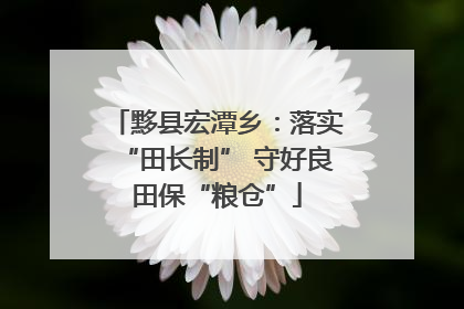黟县宏潭乡：落实“田长制” 守好良田保“粮仓”