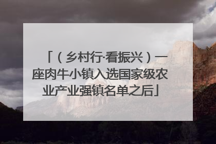 （乡村行·看振兴）一座肉牛小镇入选国家级农业产业强镇名单之后