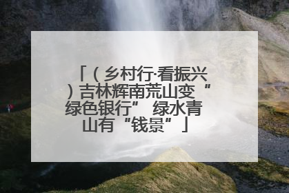（乡村行·看振兴）吉林辉南荒山变“绿色银行” 绿水青山有“钱景”