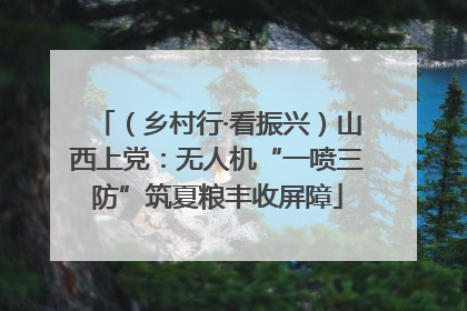 （乡村行·看振兴）山西上党：无人机“一喷三防”筑夏粮丰收屏障