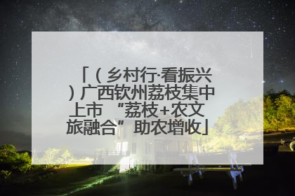 （乡村行·看振兴）广西钦州荔枝集中上市 “荔枝+农文旅融合”助农增收