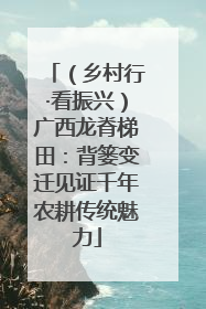 （乡村行·看振兴）广西龙脊梯田：背篓变迁见证千年农耕传统魅力