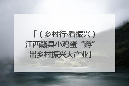 （乡村行·看振兴）江西赣县小鸡蛋“孵”出乡村振兴大产业