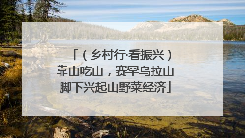（乡村行·看振兴）靠山吃山，赛罕乌拉山脚下兴起山野菜经济