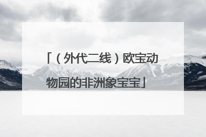 （外代二线）欧宝动物园的非洲象宝宝