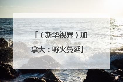 （新华视界）加拿大：野火蔓延