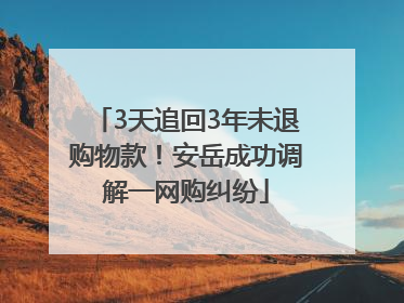 3天追回3年未退购物款！安岳成功调解一网购纠纷