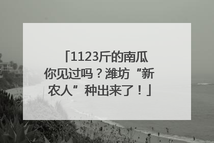 1123斤的南瓜你见过吗？潍坊“新农人”种出来了！
