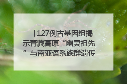 127例古基因组揭示青藏高原“幽灵祖先”与南亚语系族群遗传起源｜封面科考队