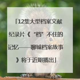 12集大型档案文献纪录片《“档”不住的记忆——聊城档案故事》将于近期播出