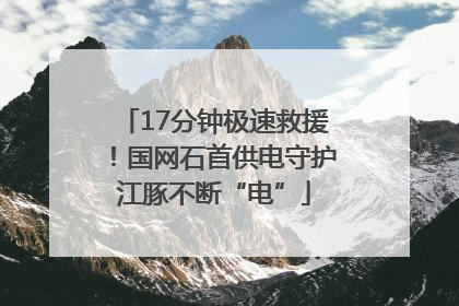 17分钟极速救援！国网石首供电守护江豚不断“电”