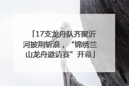 17支龙舟队齐聚沂河披荆斩浪，“锦绣兰山龙舟邀请赛”开幕