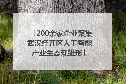 200余家企业聚集 武汉经开区人工智能产业生态现雏形