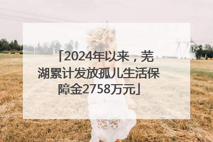 2024年以来，芜湖累计发放孤儿生活保障金2758万元