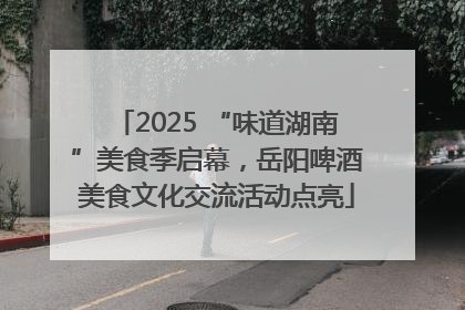 2025 “味道湖南”美食季启幕，岳阳啤酒美食文化交流活动点亮