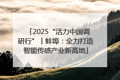 2025“活力中国调研行”丨蚌埠：全力打造智能传感产业新高地