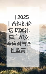 2025上合组织论坛 周鸿祎建言AI安全应对与柔性监管