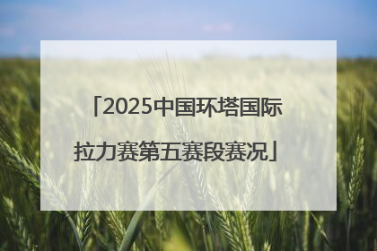 2025中国环塔国际拉力赛第五赛段赛况