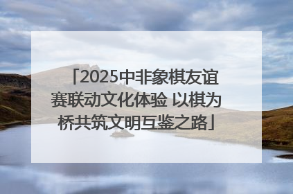 2025中非象棋友谊赛联动文化体验 以棋为桥共筑文明互鉴之路