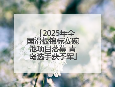 2025年全国滑板锦标赛碗池项目落幕 青岛选手获季军