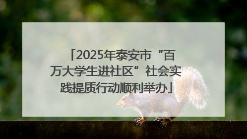 2025年泰安市“百万大学生进社区”社会实践提质行动顺利举办