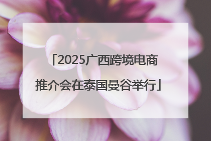 2025广西跨境电商推介会在泰国曼谷举行