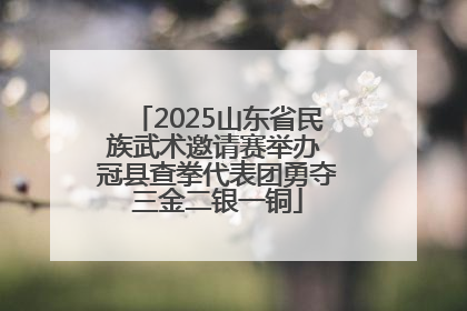 2025山东省民族武术邀请赛举办 冠县查拳代表团勇夺三金二银一铜