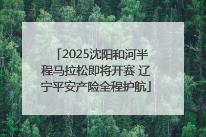 2025沈阳和河半程马拉松即将开赛 辽宁平安产险全程护航