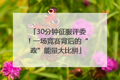 30分钟征服评委！一场竞赛背后的“政”能量大比拼