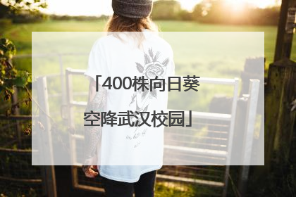 400株向日葵空降武汉校园