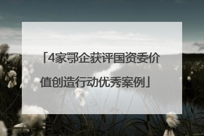 4家鄂企获评国资委价值创造行动优秀案例