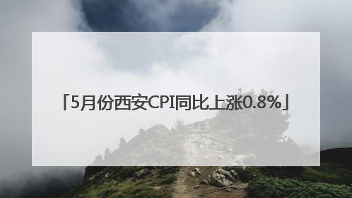 5月份西安CPI同比上涨0.8%
