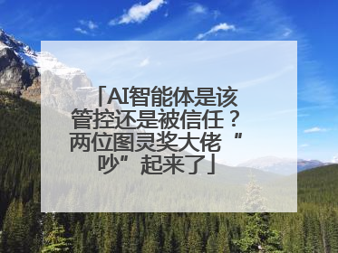 AI智能体是该管控还是被信任？两位图灵奖大佬“吵”起来了