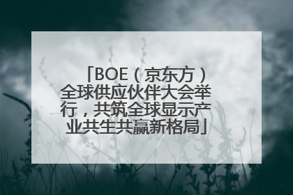 BOE（京东方）全球供应伙伴大会举行，共筑全球显示产业共生共赢新格局