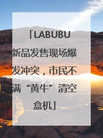 LABUBU新品发售现场爆发冲突，市民不满“黄牛”清空盒机