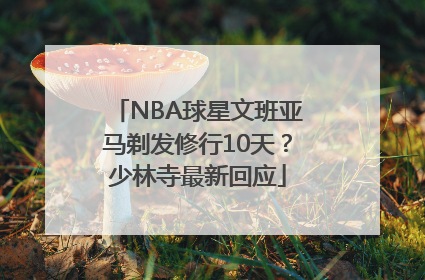 NBA球星文班亚马剃发修行10天？少林寺最新回应