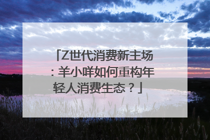 Z世代消费新主场：羊小咩如何重构年轻人消费生态？